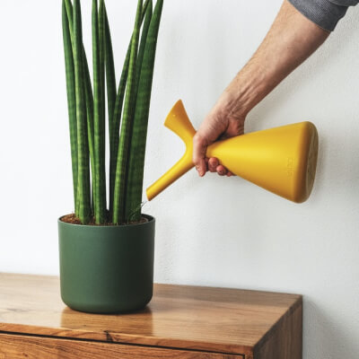 Про нас plants store gallery img 2