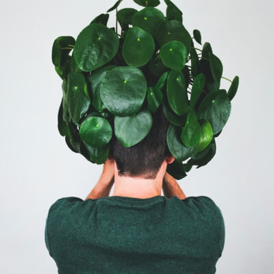 Про нас plants store gallery img 3